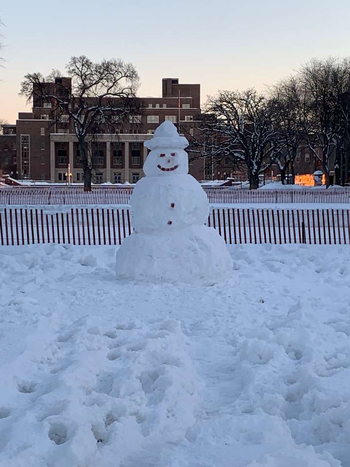 Χιονάνθρωπος στο Northrop Mall online παζλ