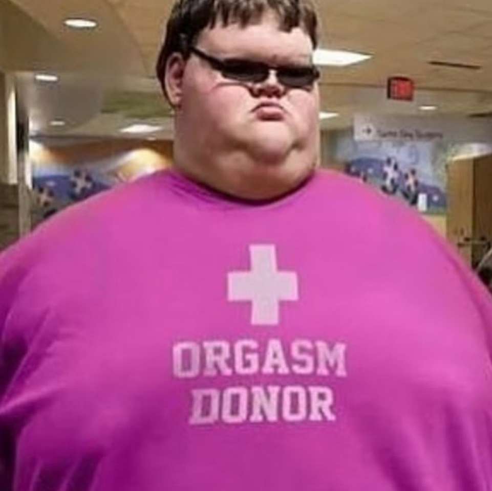 ORGSM DONOR Pussel online