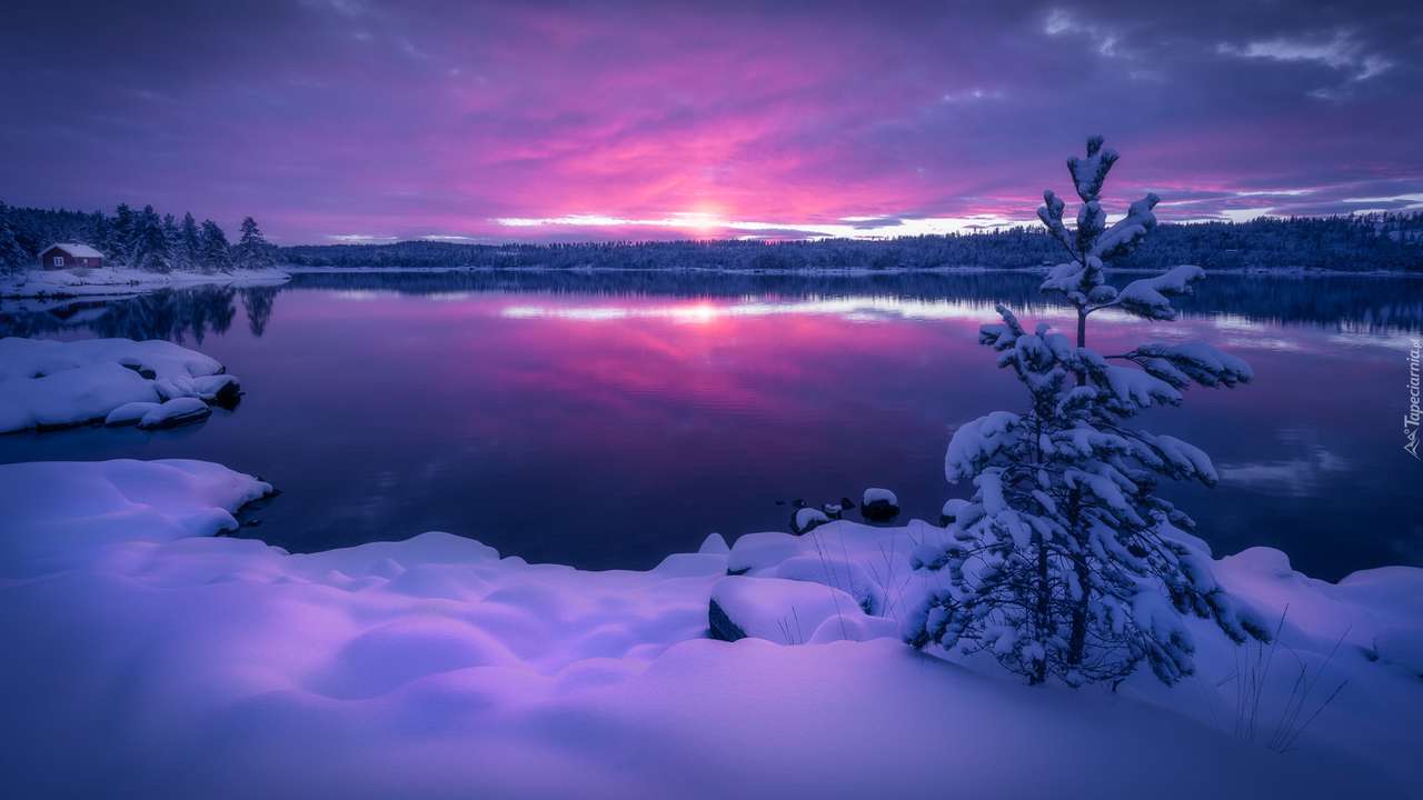 Vinterland 2 pussel online från foto
