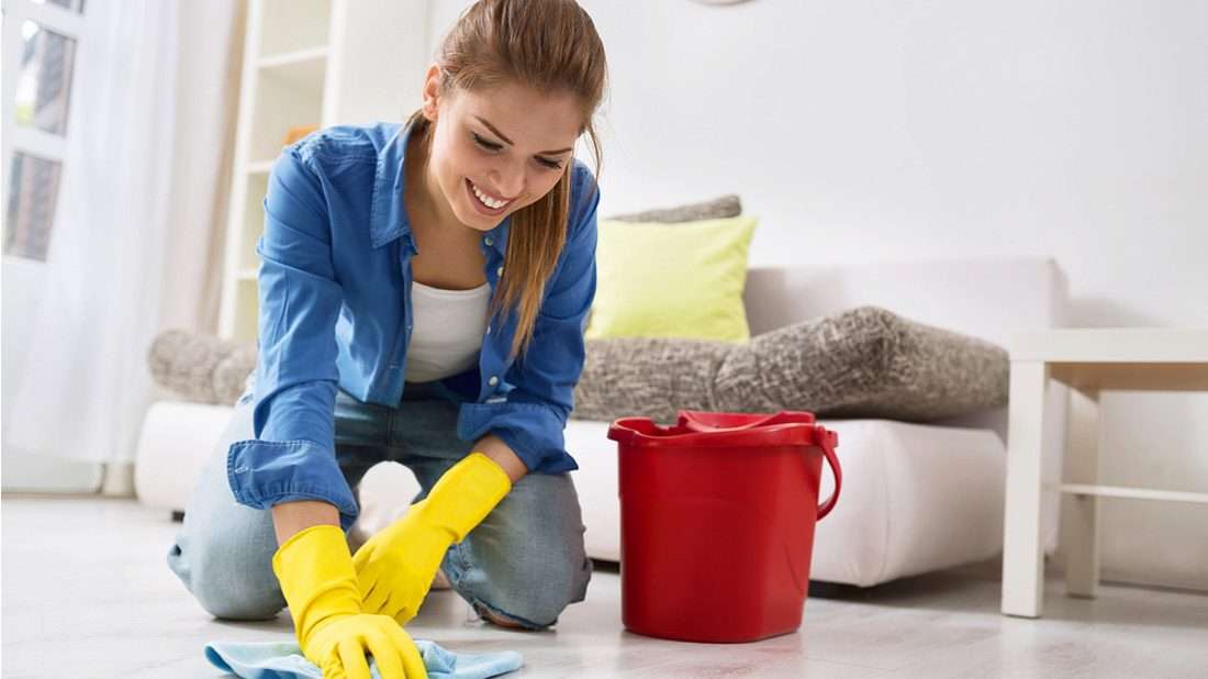 cleaning woman puzzle online from photo