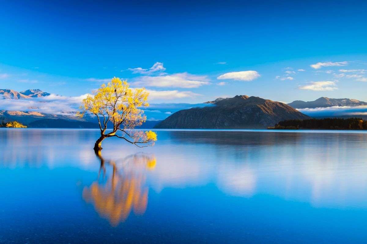 Lake tree puzzle online from photo