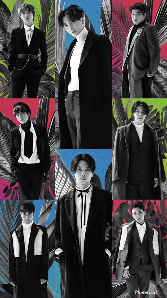 Super Junior KPOP Group online παζλ