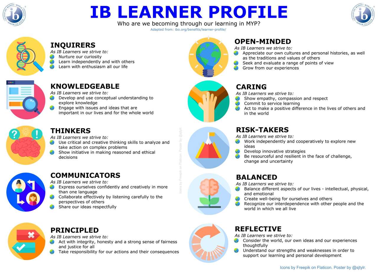 Atributos de perfil IB. puzzle online