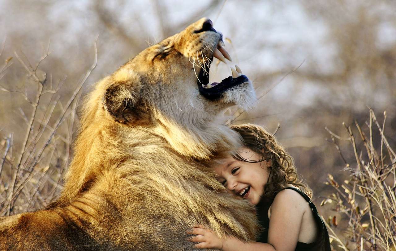 Lejon och tjej Pussel online