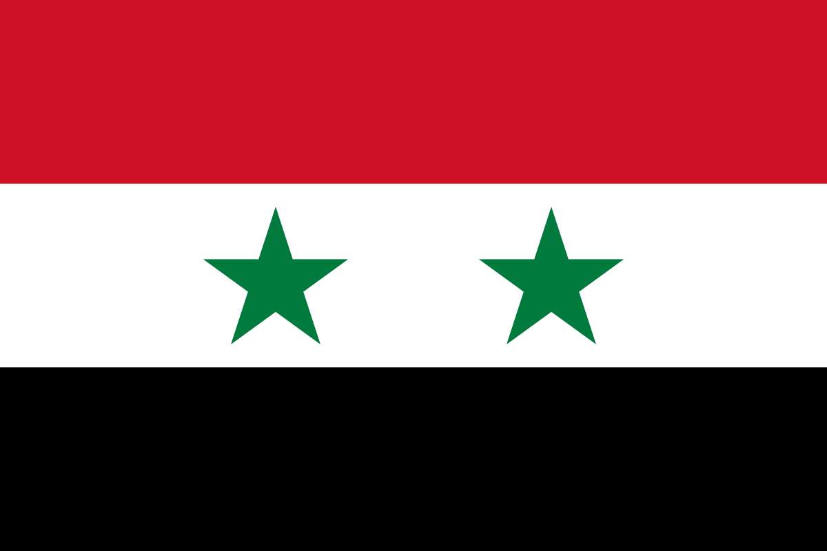 Syria flag online puzzle