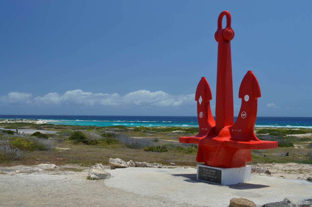 Aruba-testpuzzel puzzel online van foto
