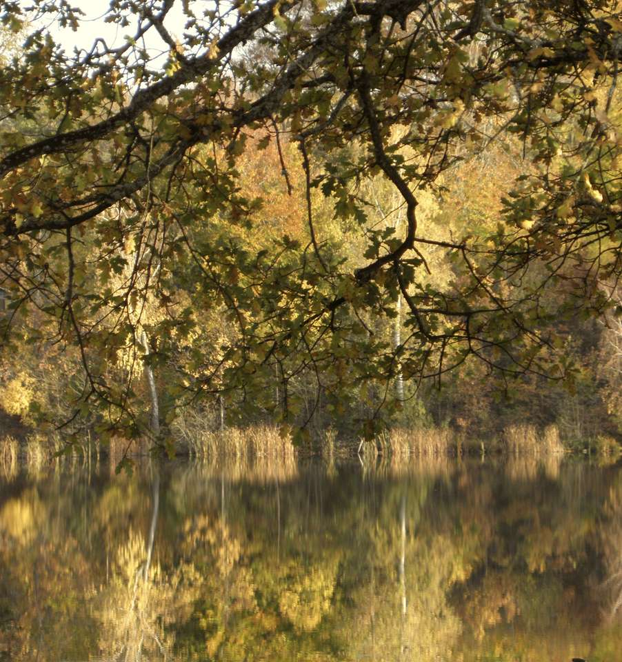 By the lake puzzle online from photo