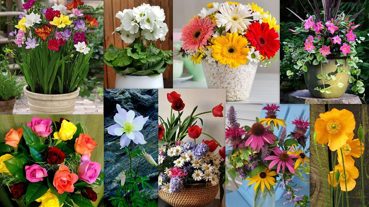 Floral Mix puzzle online