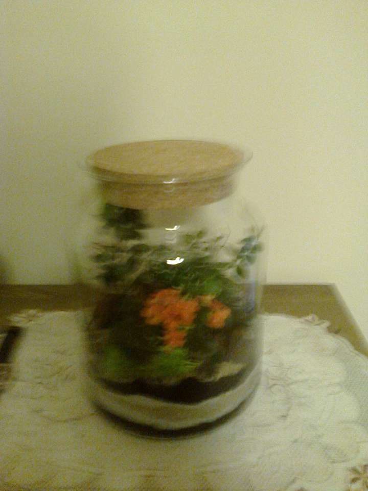 Jar made by a cousin mongrel. online puzzle