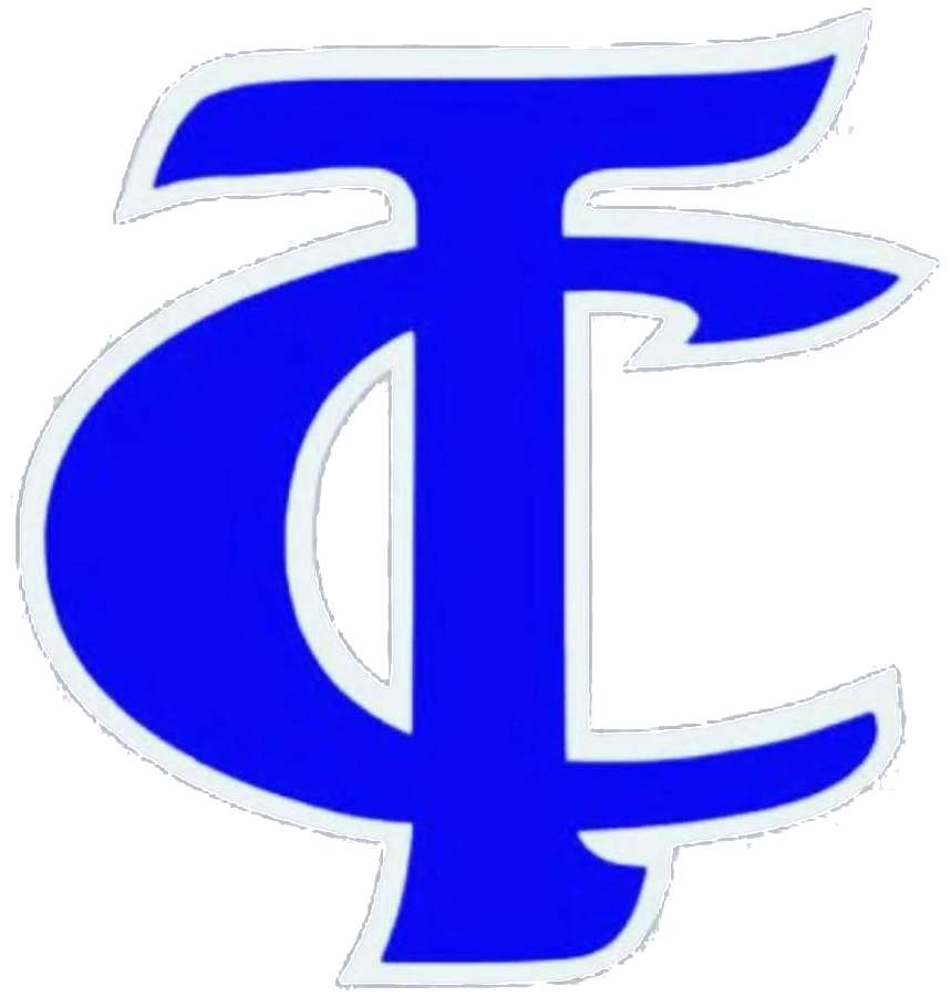 TCHS Logo puzzle online from photo