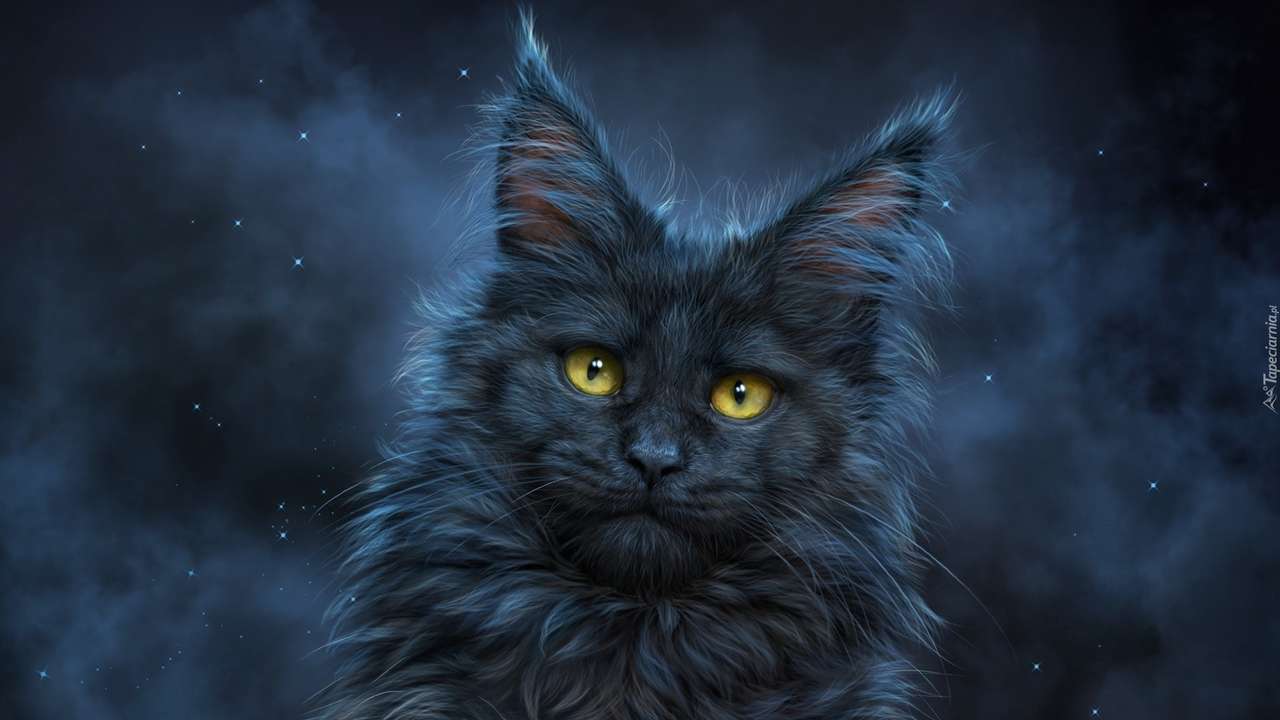 katt på natten pussel online från foto