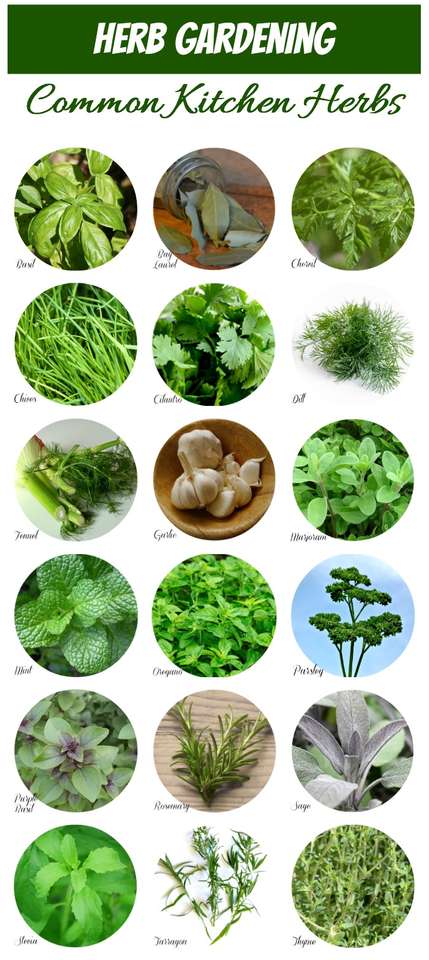 common herbs online puzzle