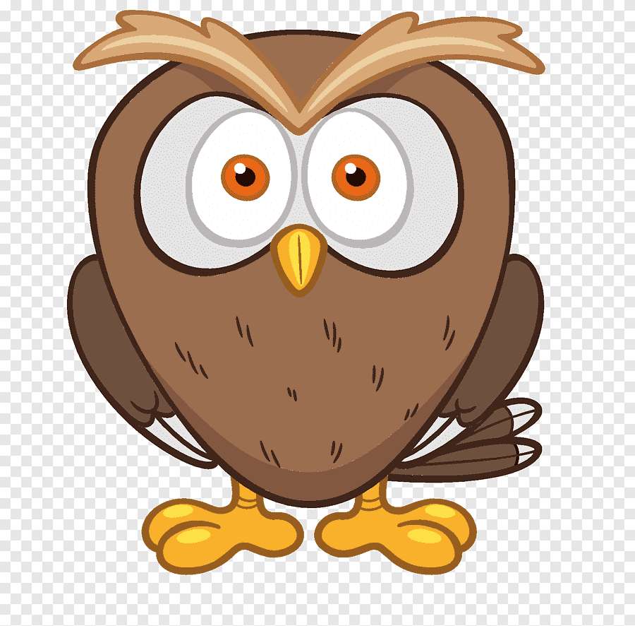 Owl Wise Head. puzzle online din fotografie