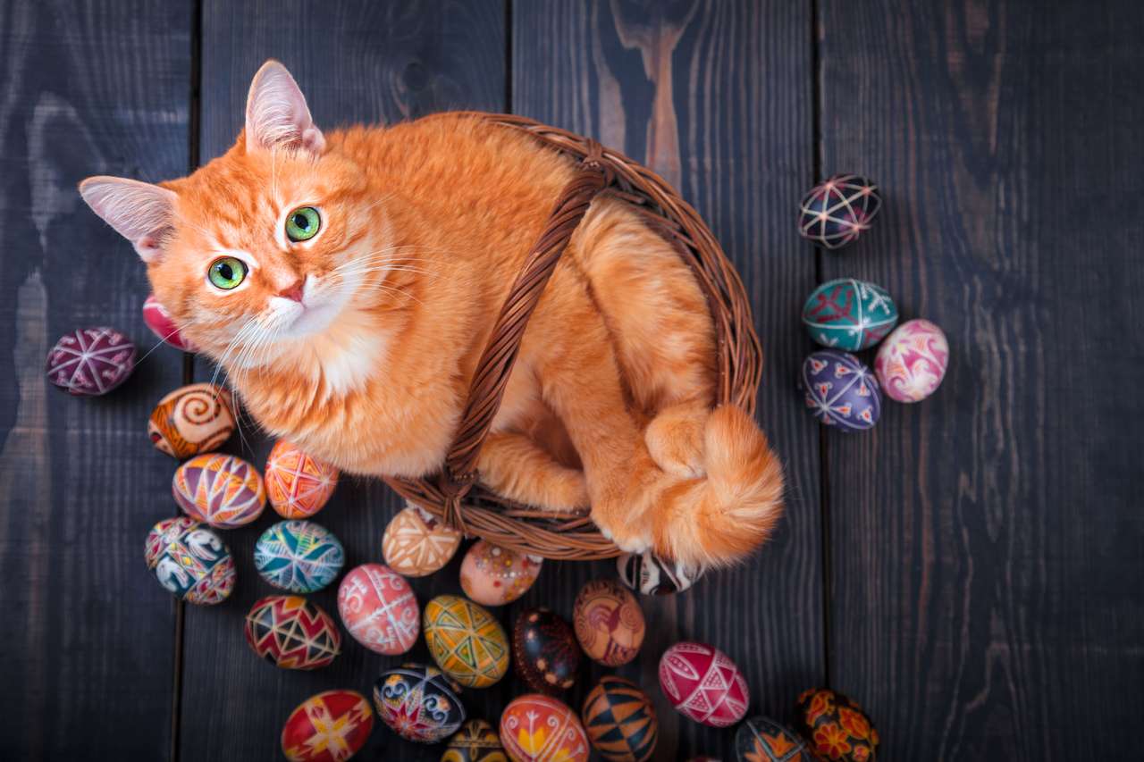 Cat in baskets and Easter eggs online puzzle