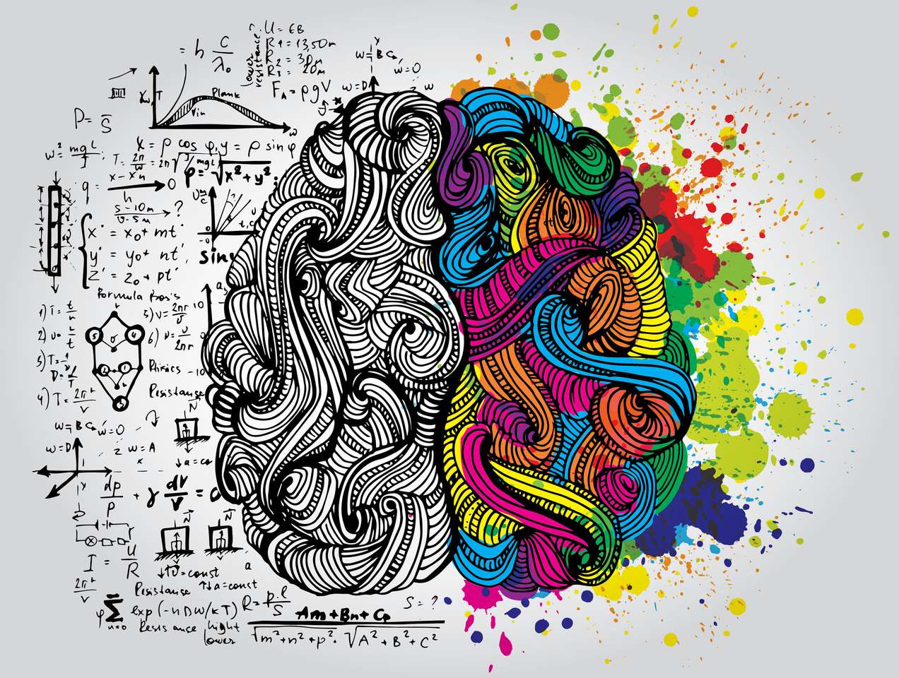 Brain hemisphere online puzzle