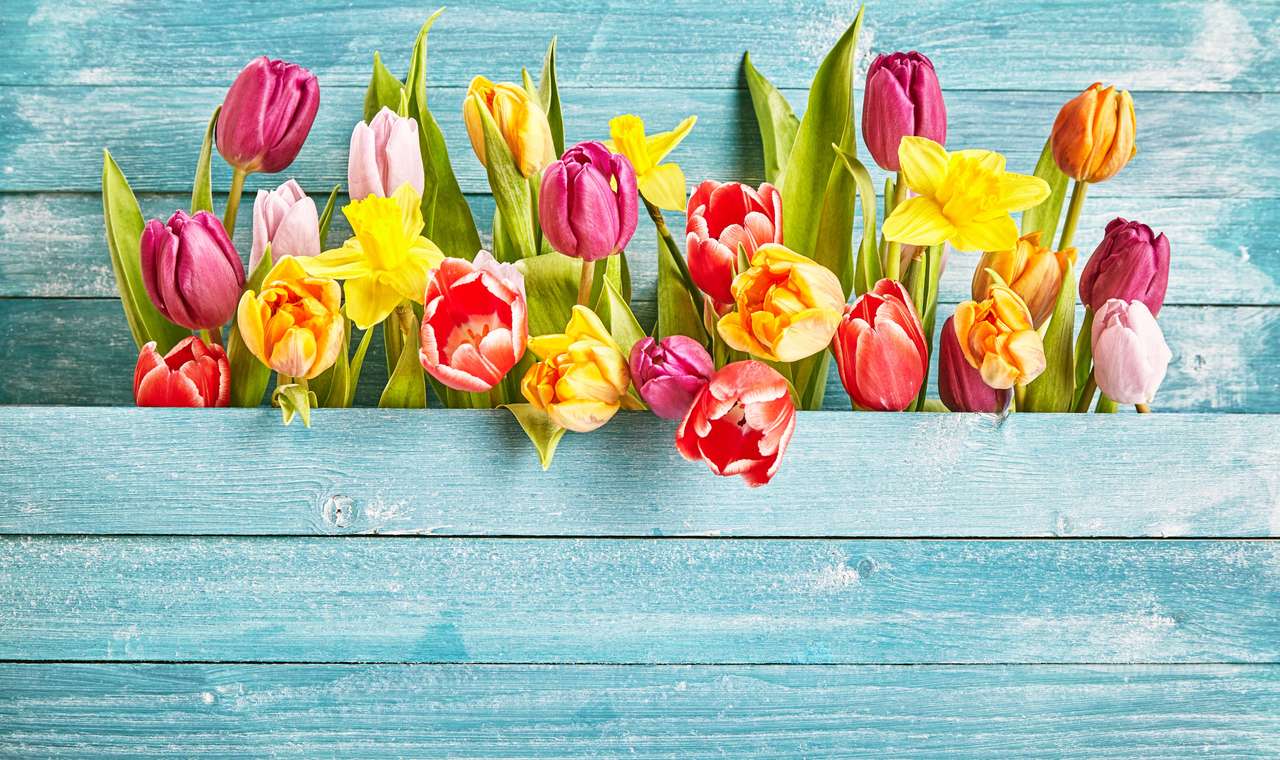 Spring tulips puzzle online from photo