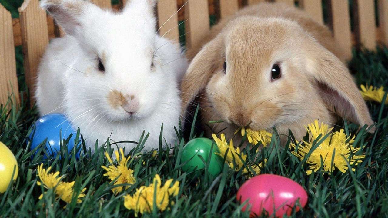 Easter challenge puzzle online from photo