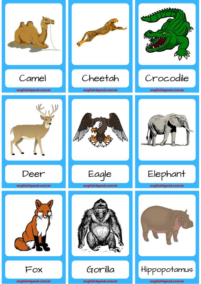 Animales- vocabulario rompecabezas en línea