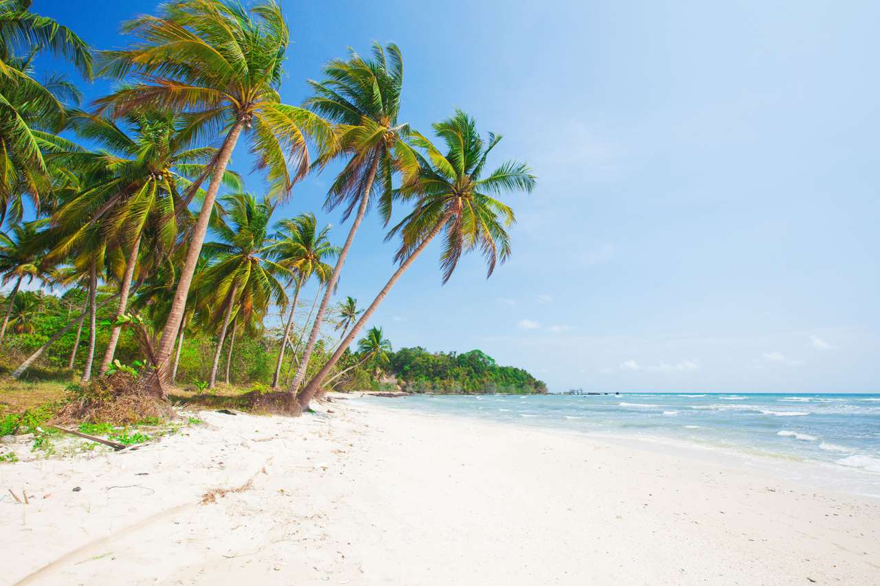 Strand i tropikerna pussel online från foto