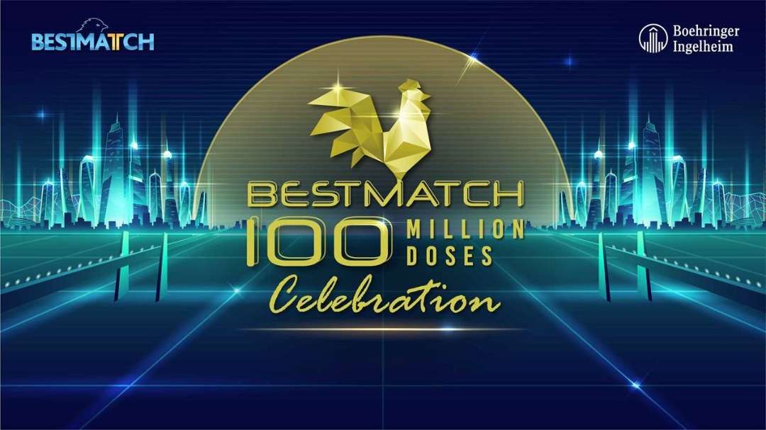 Bestmatch. puzzle online da foto