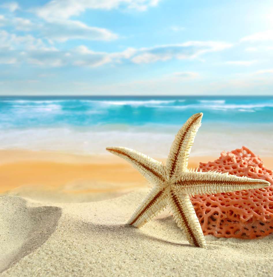 Beach starfish puzzle online from photo
