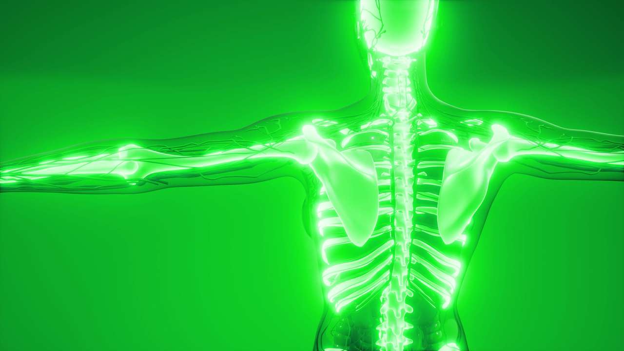 Зеленый скелет онлайн-пазл