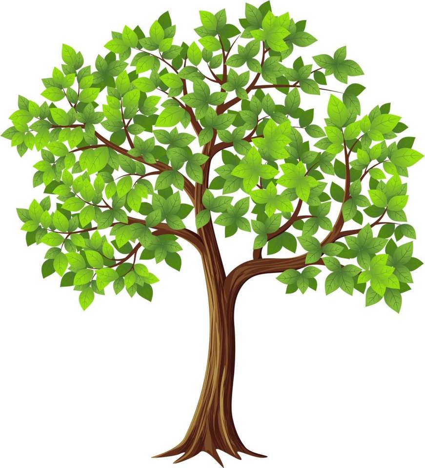 Зелено дърво онлайн пъзел от снимка