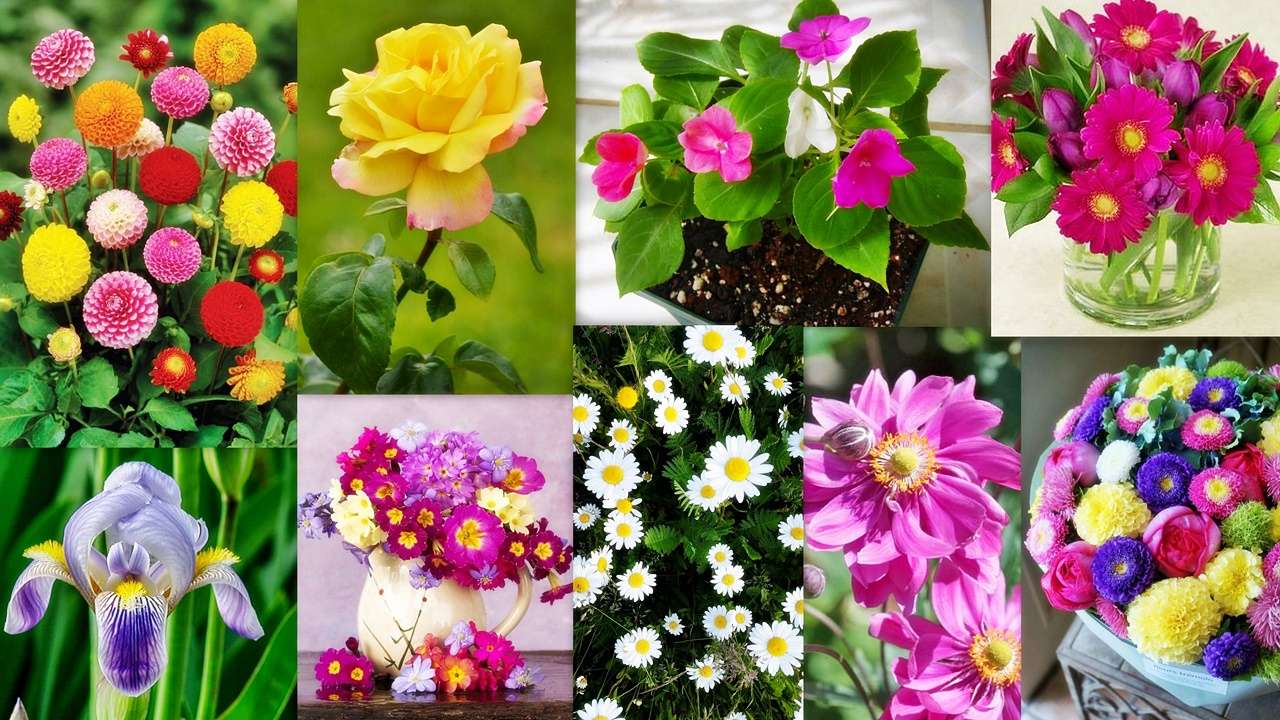 Floral mix online puzzle
