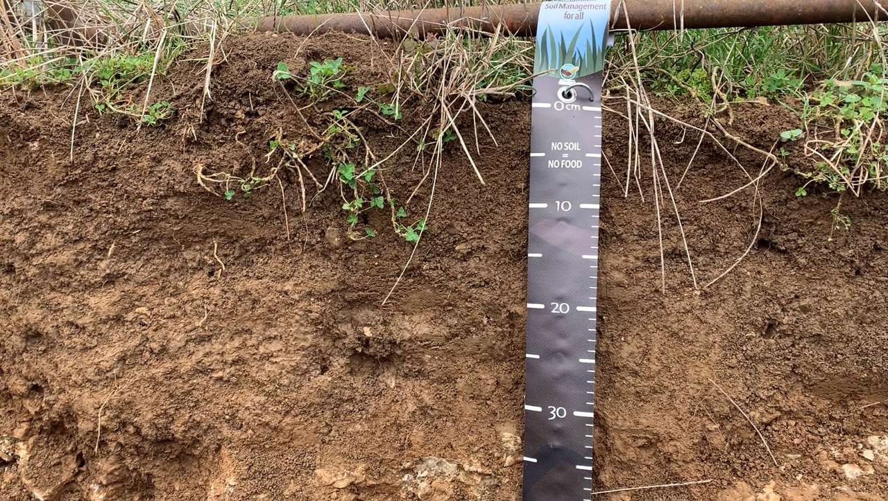 Soil profile puzzle online from photo