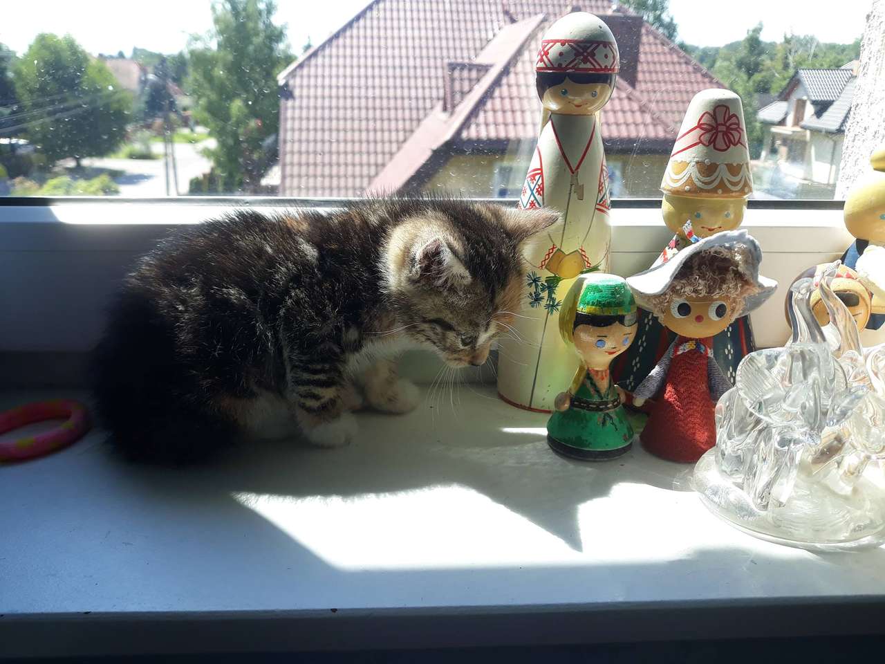 Florka Tiny Kitty puzzel online van foto