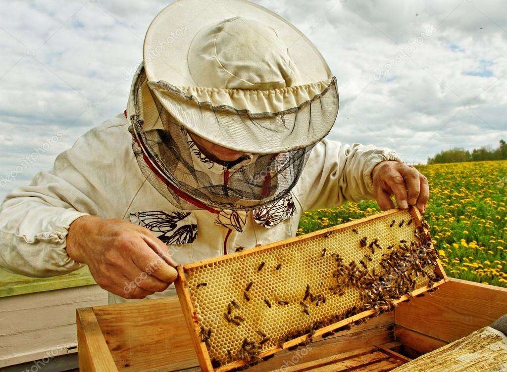 養蜂家 オンラインパズル
