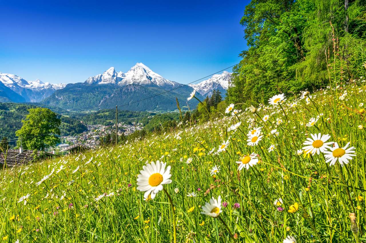 Alpes bavaroises puzzle en ligne