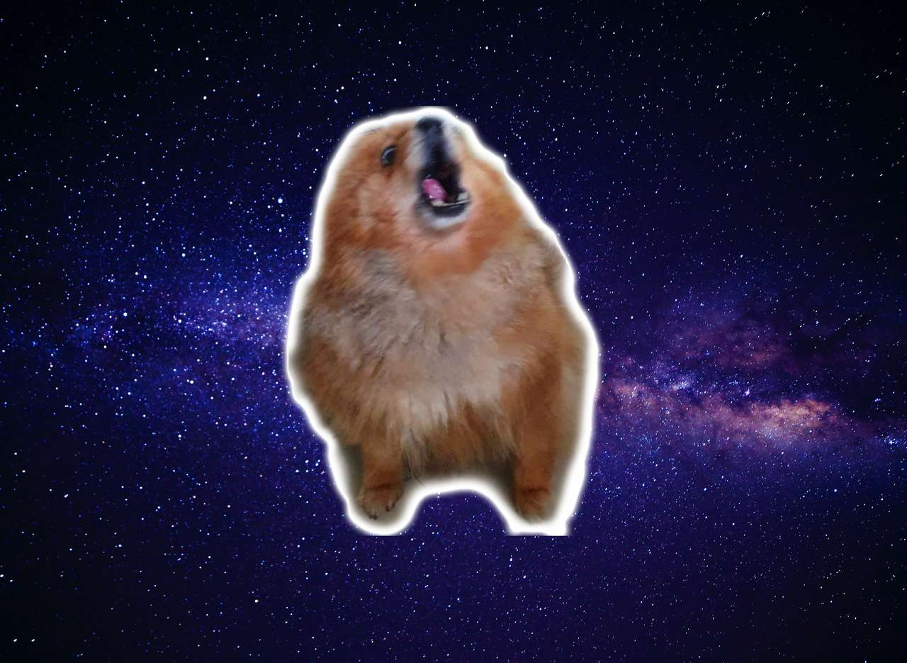 doge in space online puzzle