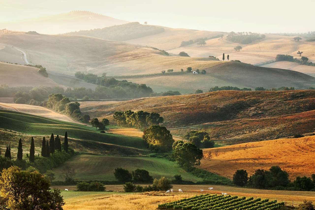 Fields in Italy puzzle online from photo