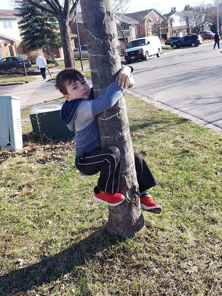 Logan on a tree puzzle online from photo
