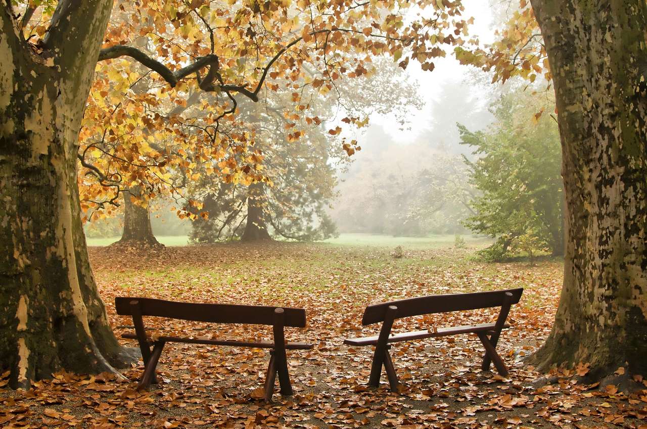 Two benches puzzle online from photo