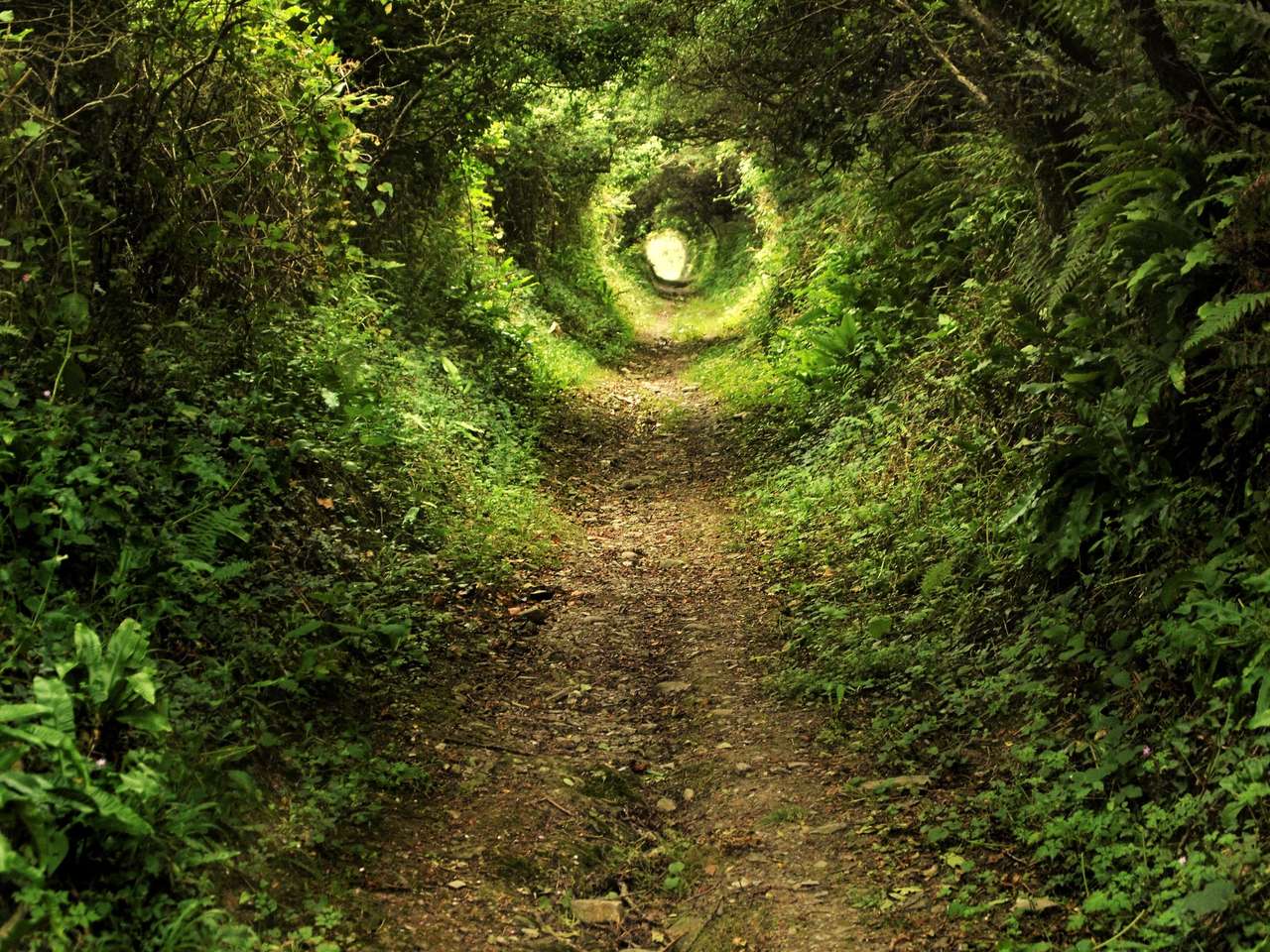 Tunnel met groen puzzel online van foto