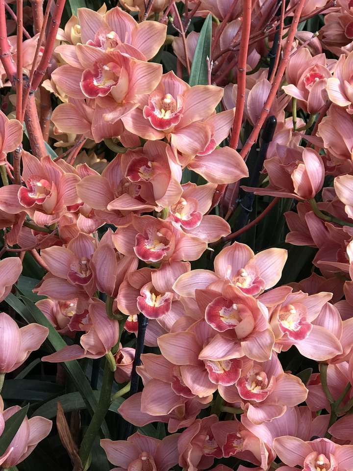 Roze zomerbloemen online puzzel