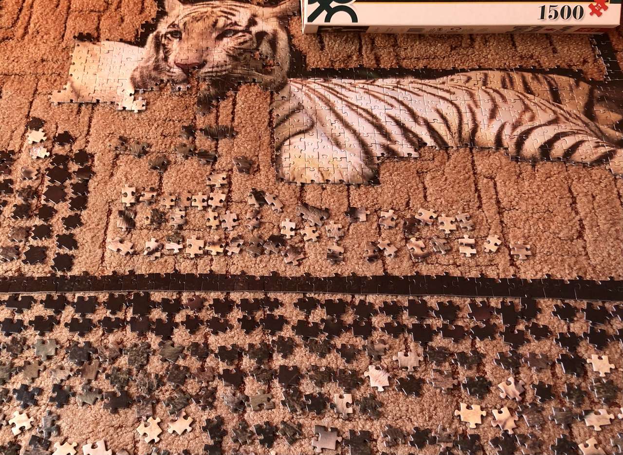 Tiger, Czyli Tygrys Online-Puzzle vom Foto