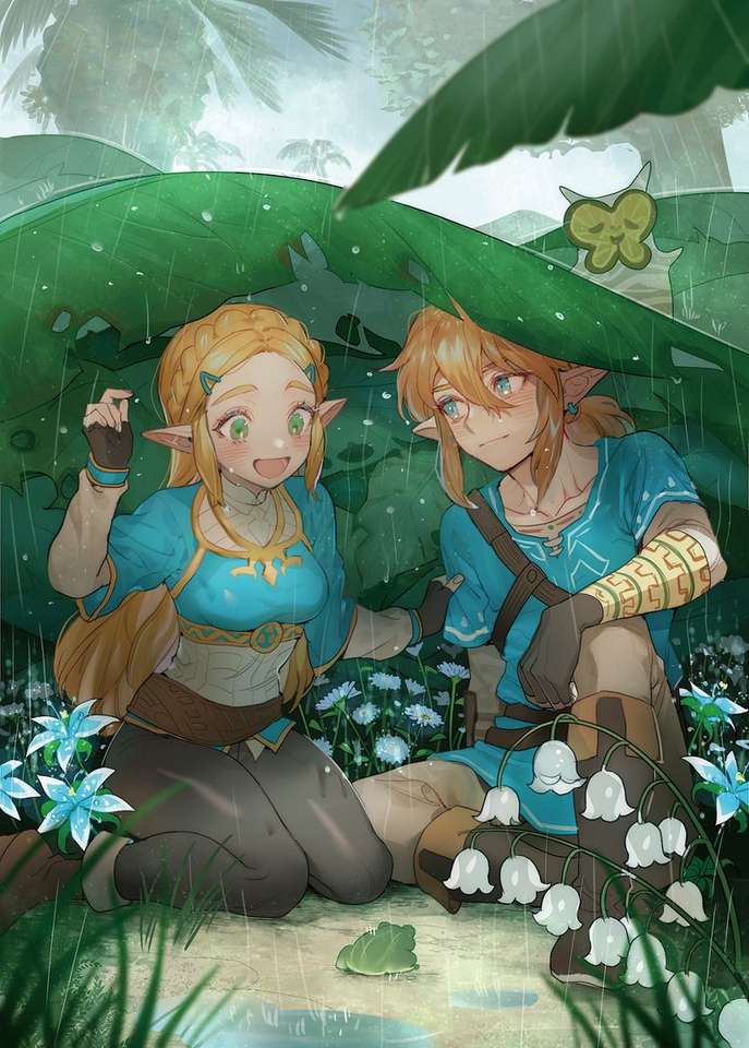 Link și Zelda. puzzle online