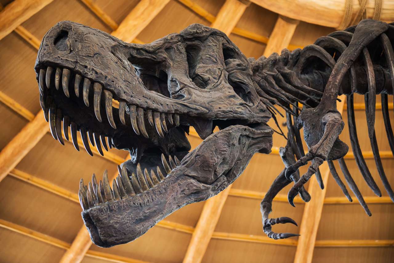 Динозавър t-rex онлайн пъзел
