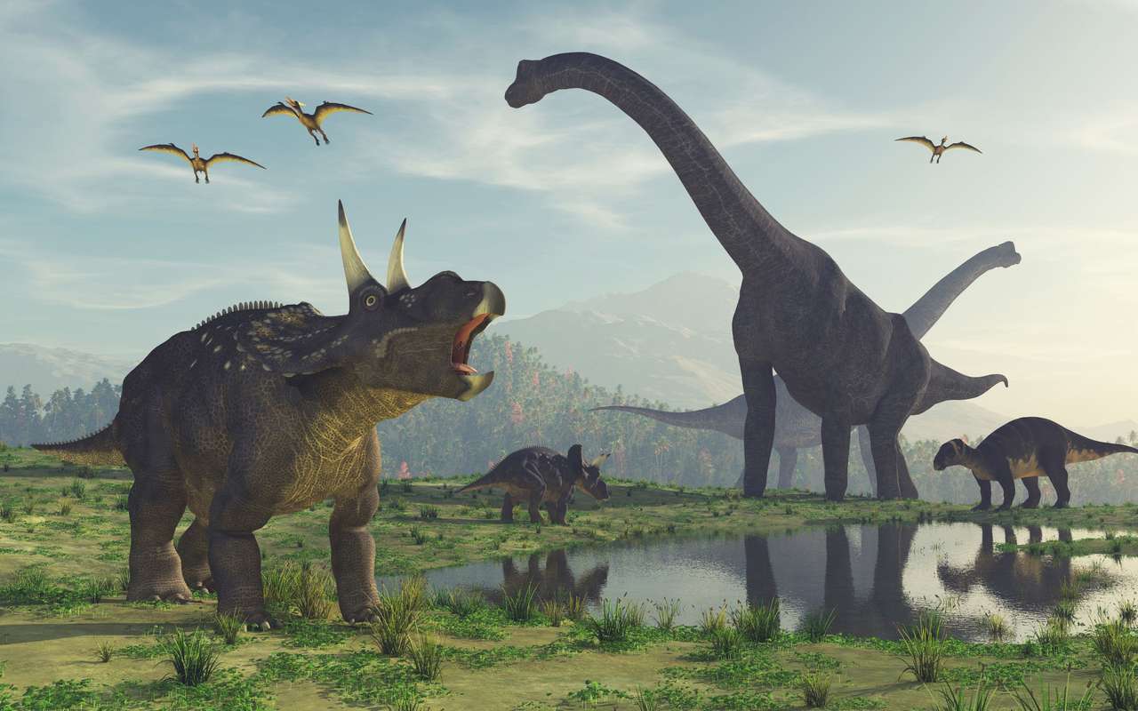 Verschiedene Dinosauriers. Online-Puzzle