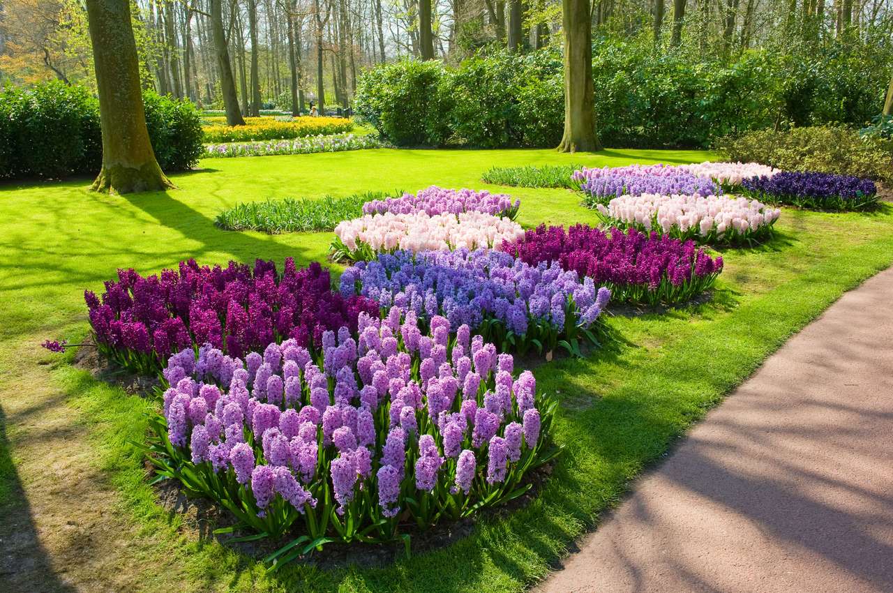 Populární zahrada puzzle online z fotografie