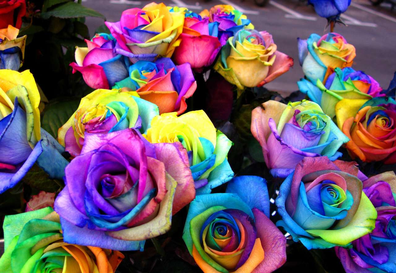 Rainbow τριαντάφυλλα online παζλ