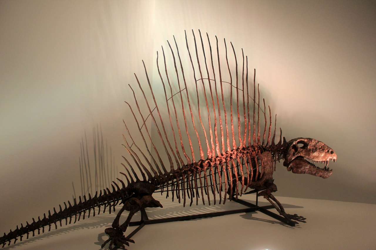 Δεινόσαυρος παζλ online από φωτογραφία