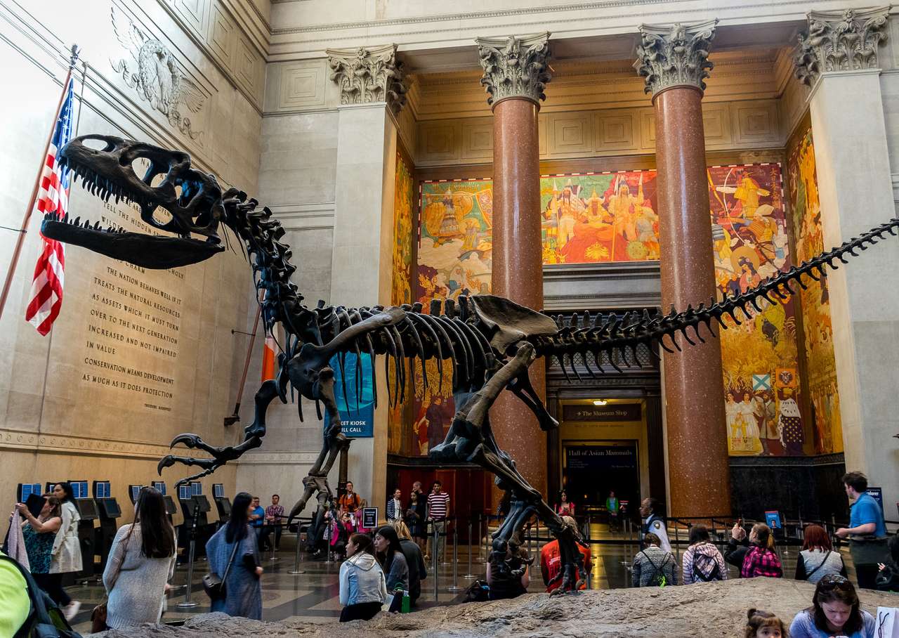 Δεινόσαυρος σκελετός online παζλ