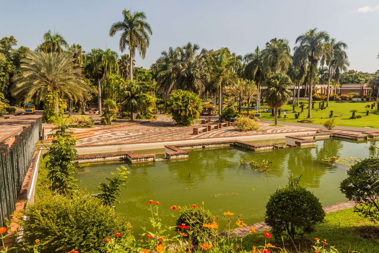 Ботаническа градина с водно езеро онлайн пъзел