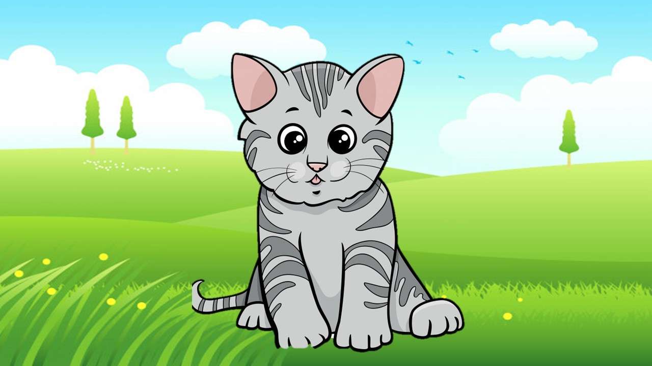 Gato cat puzzle online from photo
