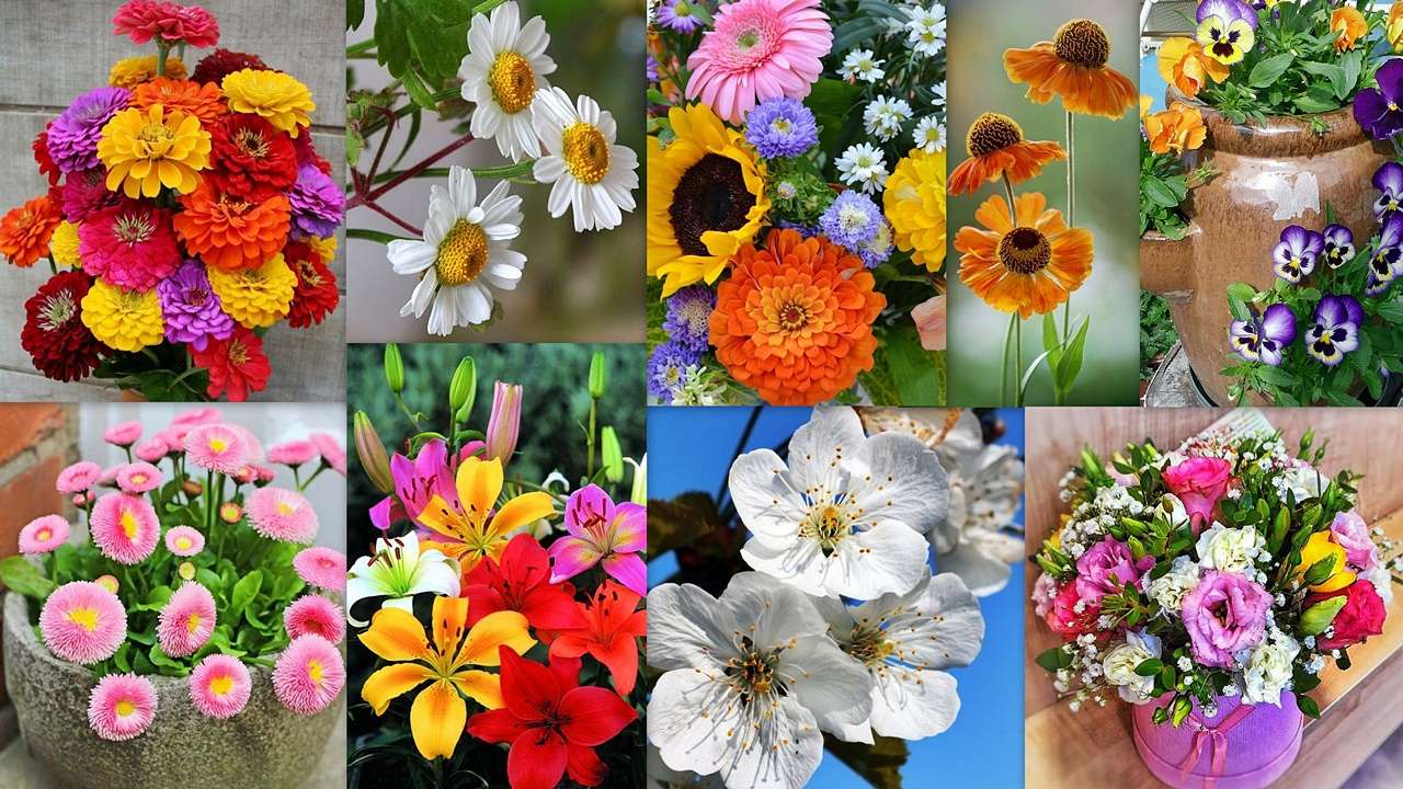 Blumenmischung Online-Puzzle