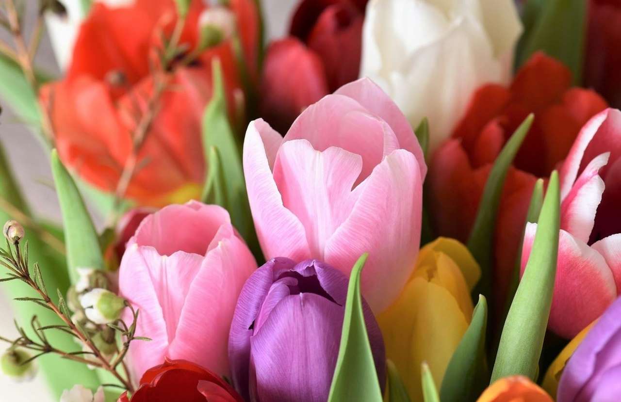 Tulpen puzzel online van foto